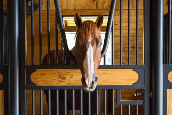 horse stall design