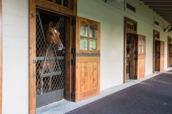 equine facility