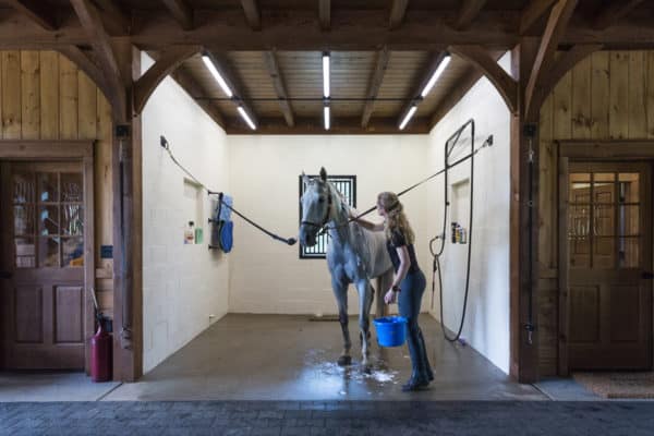 stalls for horse barn construction