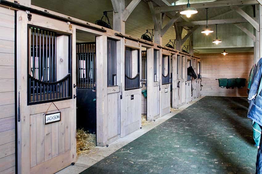 barn horse stalls in the summer