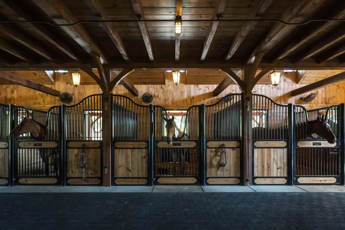 Five horses stand in separate wooden stalls inside a well-lit, clean luxury horse barn with high wooden ceilings and overhead lights. The stalls have black metal bars and nameplates on the doors.