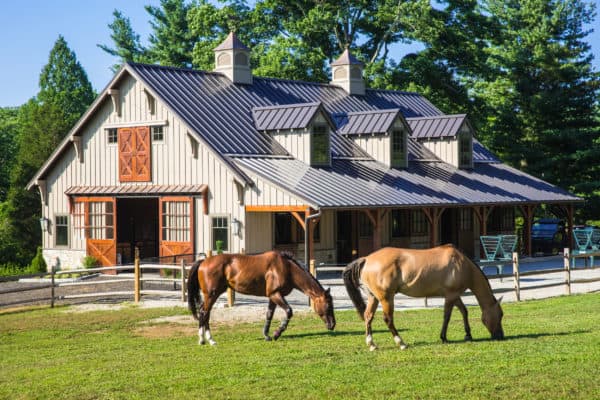 Two horses graze on green grass in front of a large, modern party barn with a metal roof, dormer windows, and wooden doors, surrounded by trees and a fenced-in area.