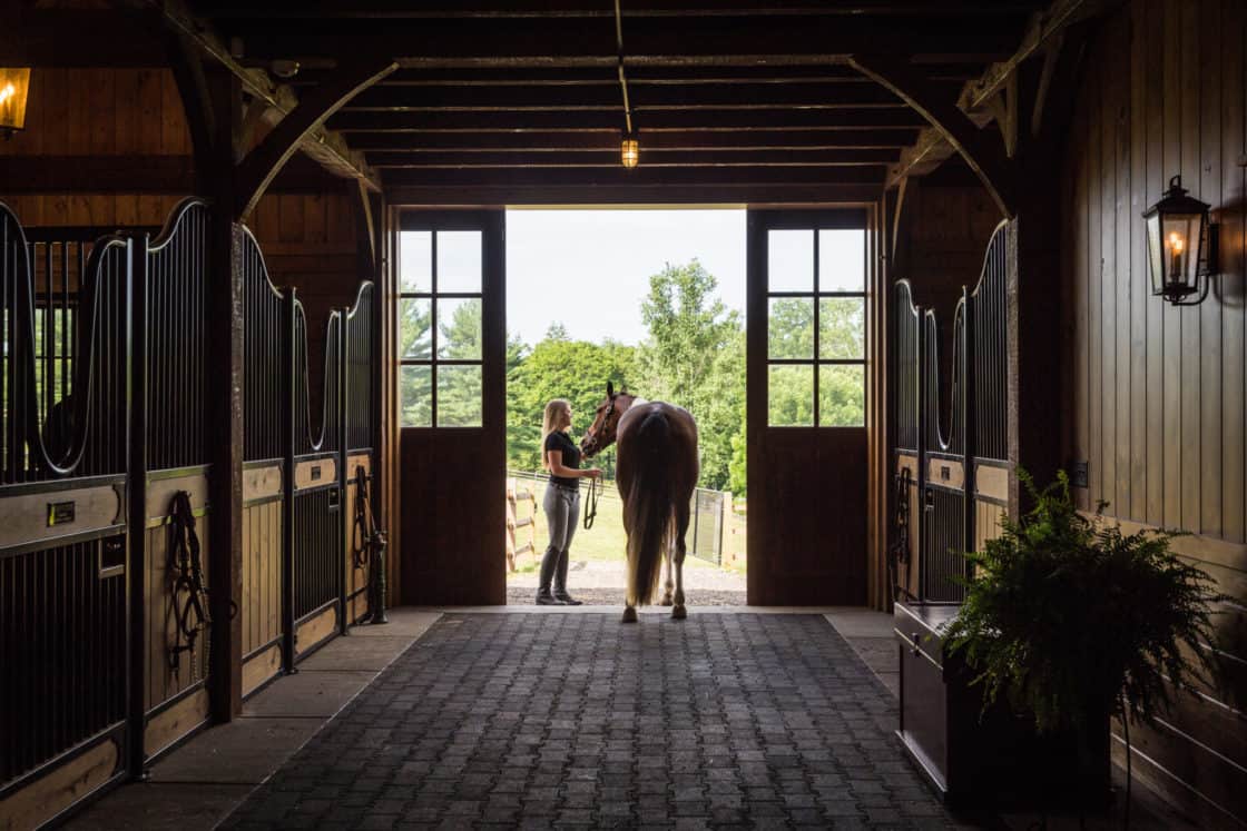 A person stands at the open doorway of a luxury horse barn, gently holding a horse by the reins. Sunlight streams in, illuminating the stable’s interior with stalls on both sides and greenery visible outside.
