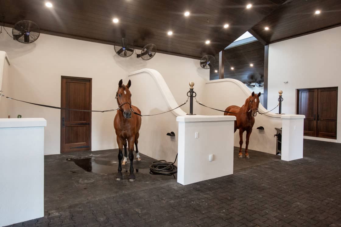Two brown horses are tied in separate, modern, white-walled grooming stalls inside a clean, well-lit bank barn with dark flooring and wood doors. Ceiling fans and lights are visible above.