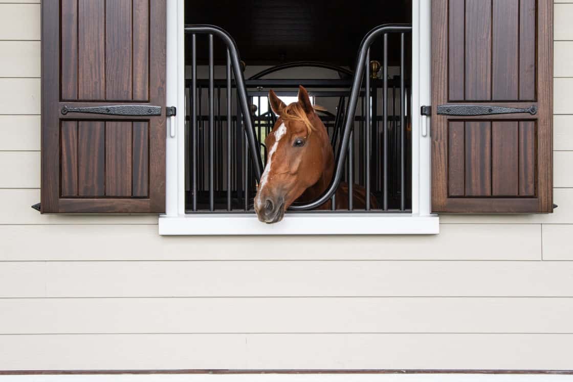 A brown horse sticks its head out of a stable window with open wooden shutters, looking outside. The window, set in a beige wall above stone paving, hints at the charm of a luxury horse barn.