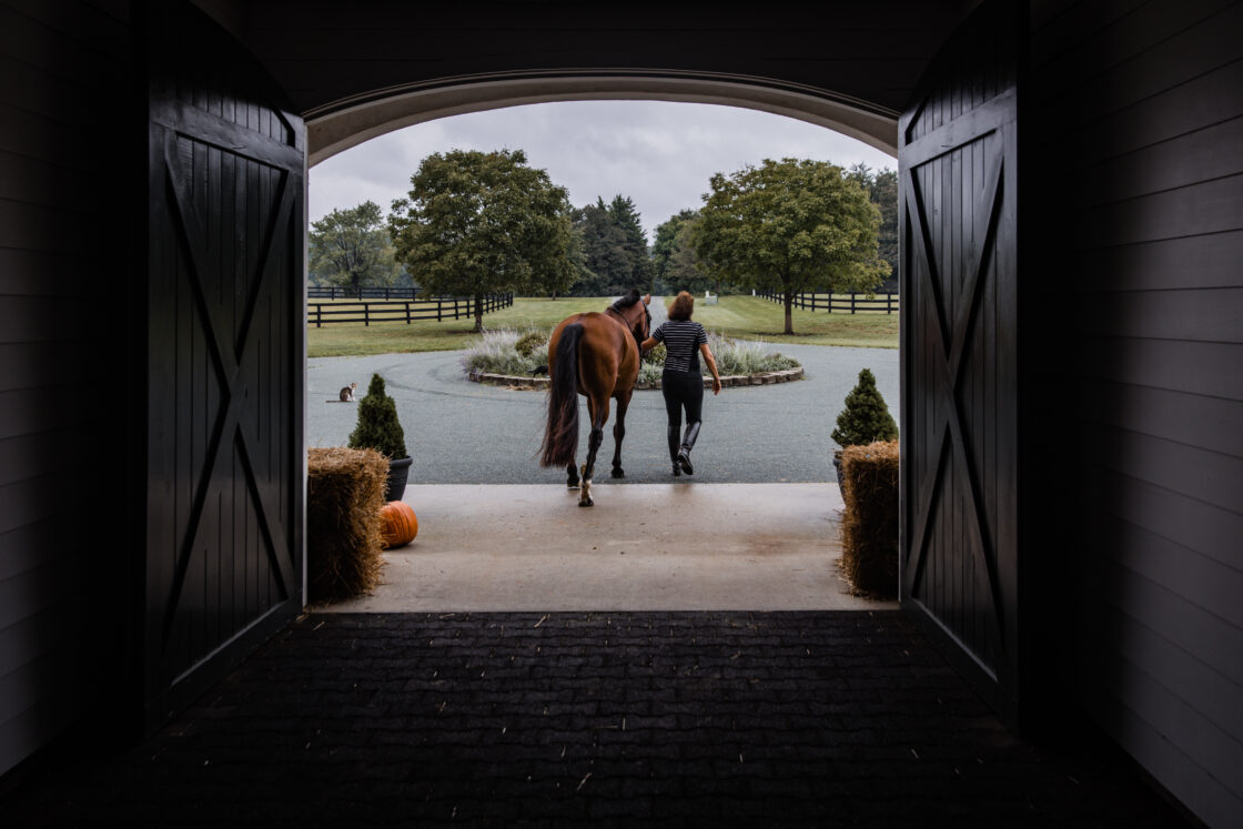 A person leads a brown horse out of a luxury horse barn and toward a circular driveway, with green trees and fenced fields in the background. Hay bales and a pumpkin sit at the barn entrance.