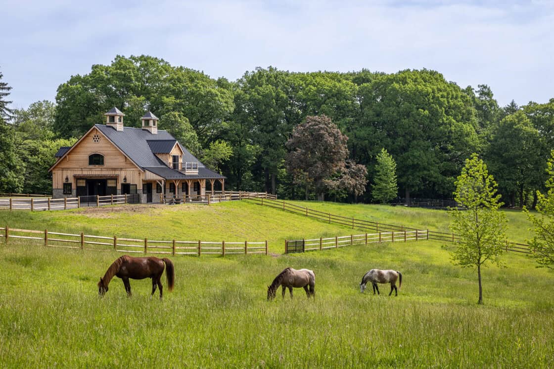 horses grazing in a green pasture with a horse barn and tree line behind them