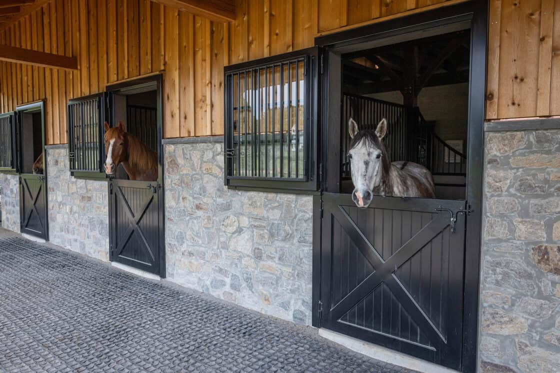 exterior view of horse stall windows with a two horses poking their heads out