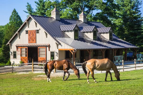 horse barn sitting in front of trees with two horse grazing in front