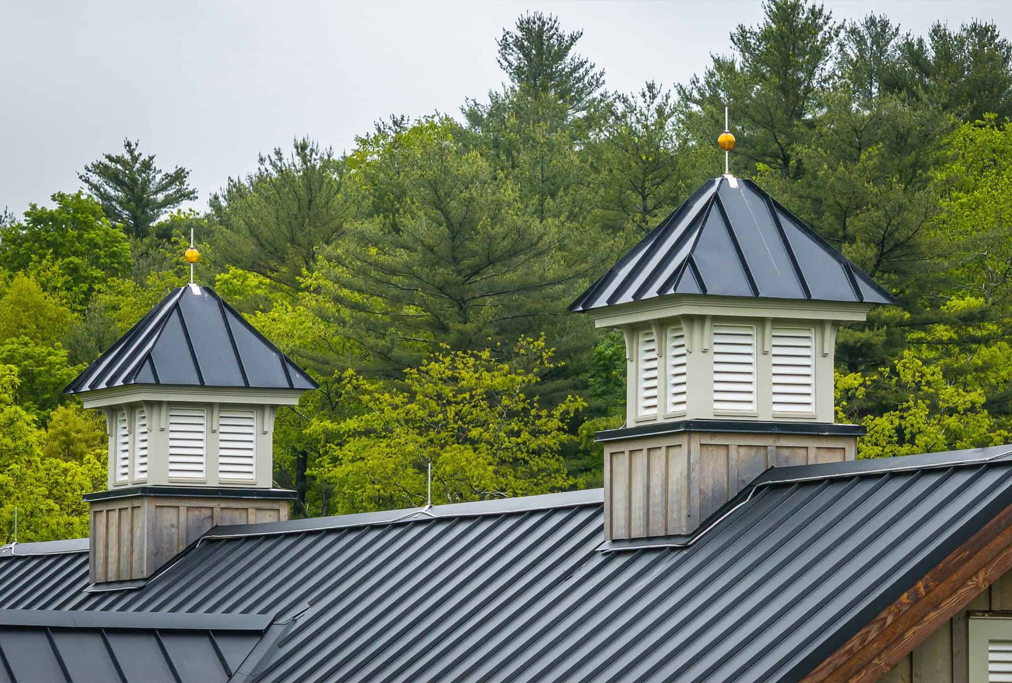 Two white cupolas with black metal roofs sit atop a gray metal roof, hinting at a luxury horse barn. Green trees and pine trees fill the background under an overcast sky.