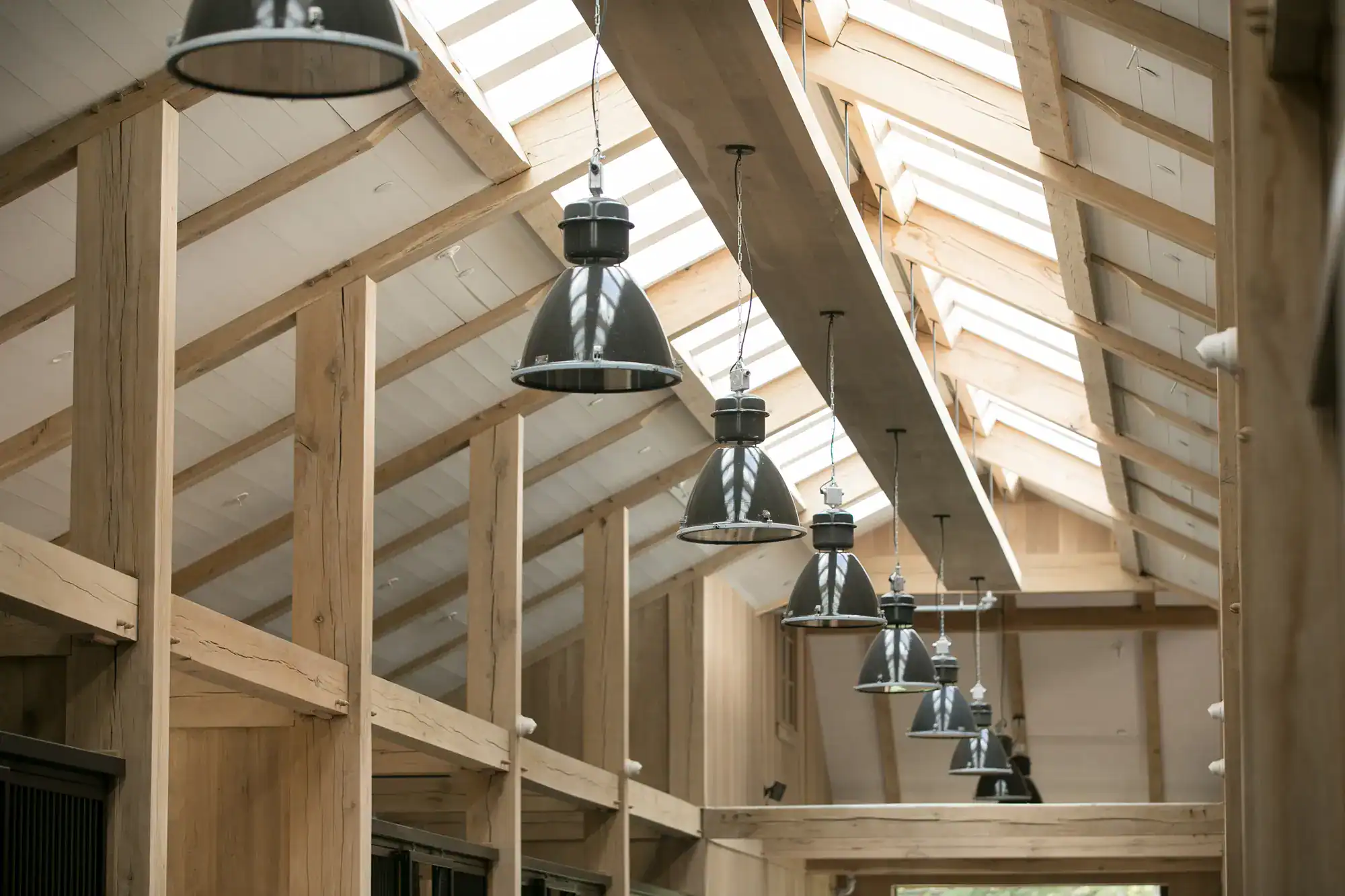 Large industrial-style black pendant lights hang from the high, vaulted wooden ceiling of this luxury horse barn, with natural light streaming in through multiple skylights.