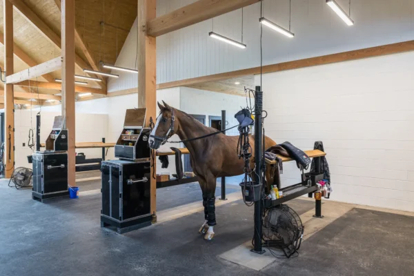A brown horse stands tied in a clean, modern stable with wooden beams and white brick walls reminiscent of a party barn. Grooming equipment, fans, saddles, and gear are neatly arranged beside each horse station.