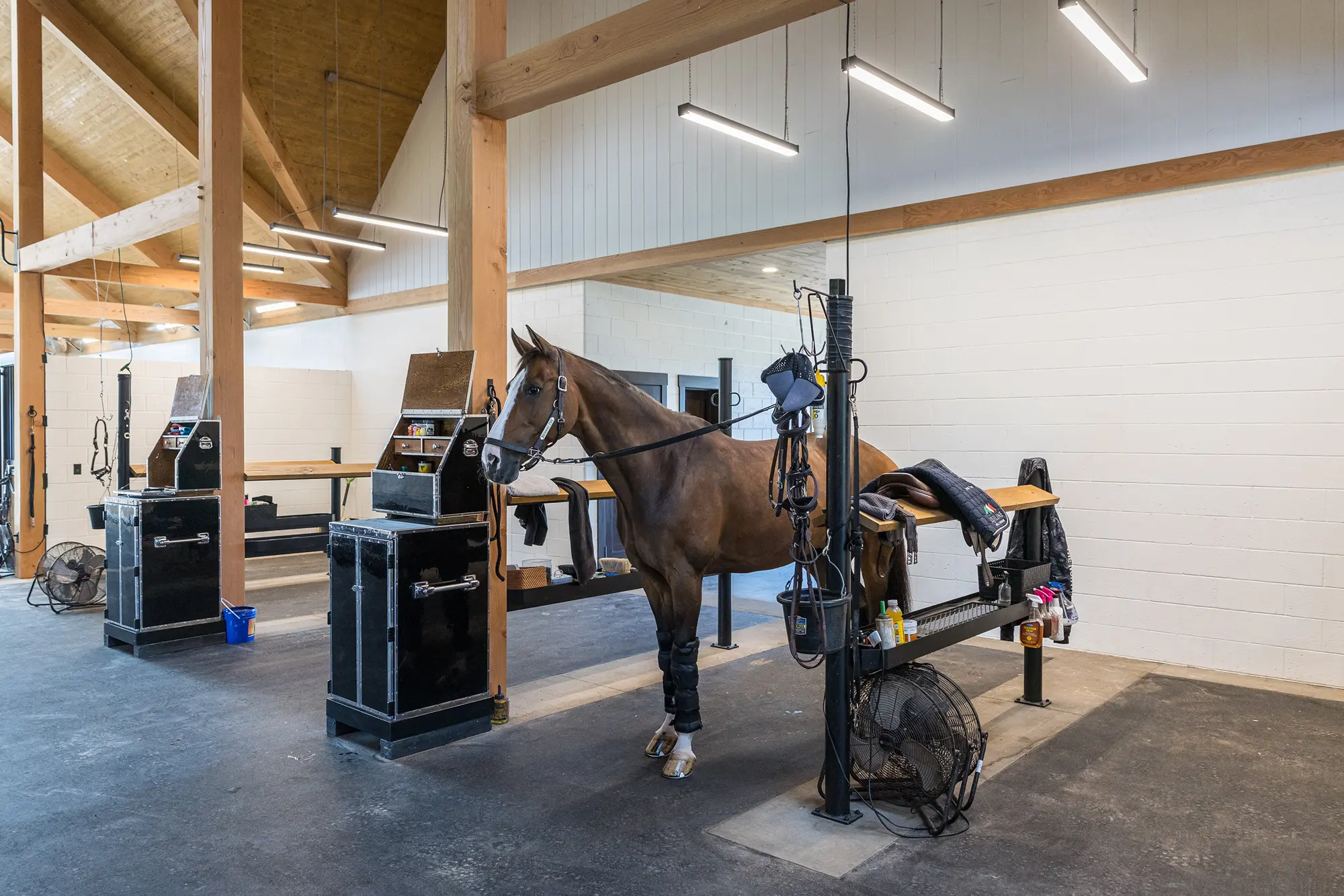 A brown horse stands tied in a clean, modern stable with wooden beams and white brick walls reminiscent of a party barn. Grooming equipment, fans, saddles, and gear are neatly arranged beside each horse station.